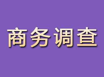 九寨沟商务调查